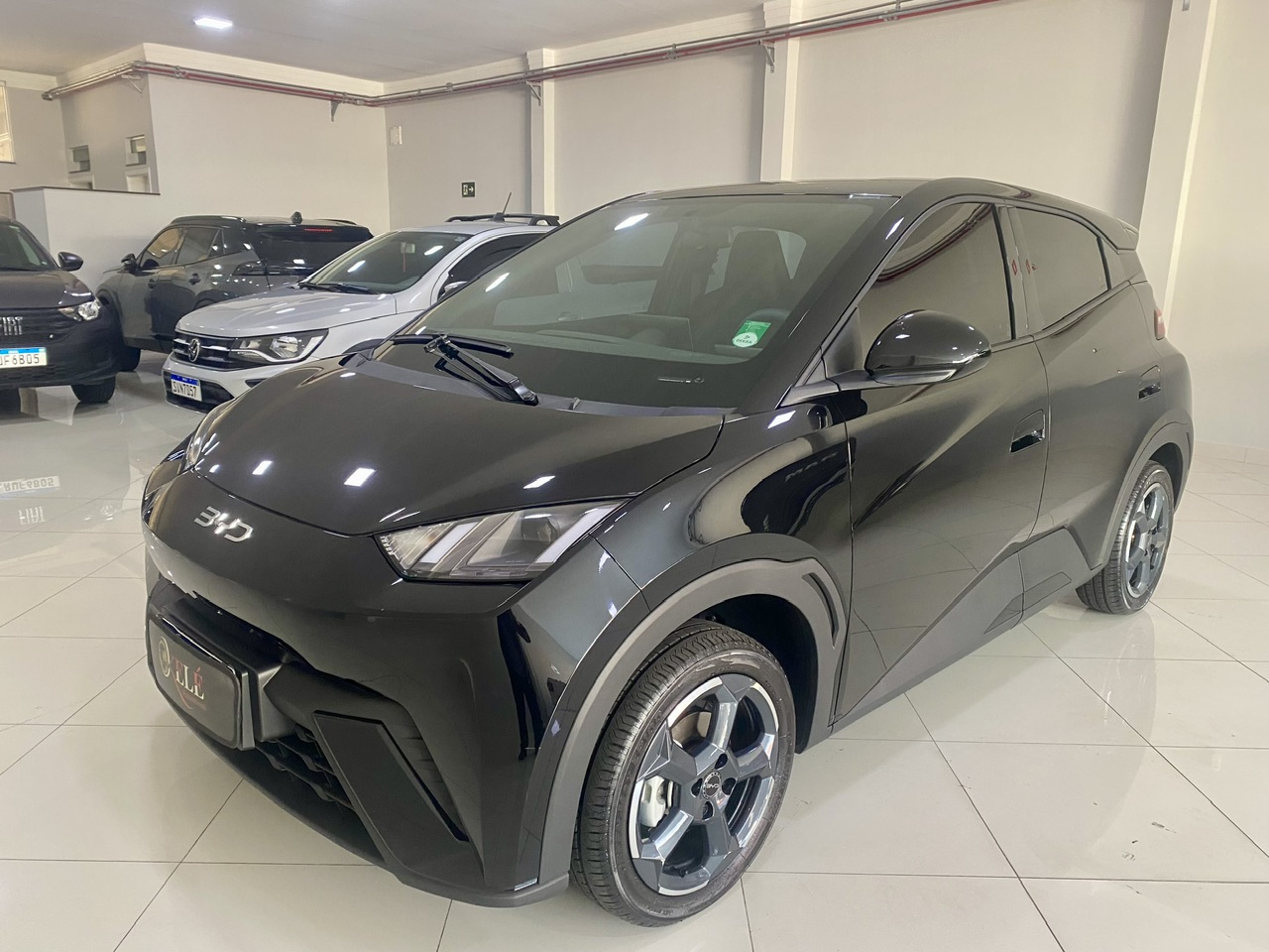 Byd Dolphin Mini 38 Kw Elétrico